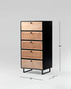 Modern Rattan Mango Solid Wood Iron Base Chest Of 5 Drawers