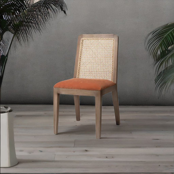 Classic Rattan Sheesham Solid Wood and Fabric Dining Chair