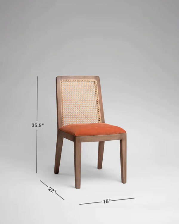 Classic Rattan Sheesham Solid Wood and Fabric Dining Chair