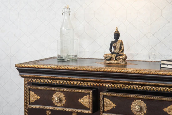 Modern Solid Mango Wood Cabinet With Brass Work