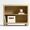 Wooden shelf with books and a piggy bank on a white background