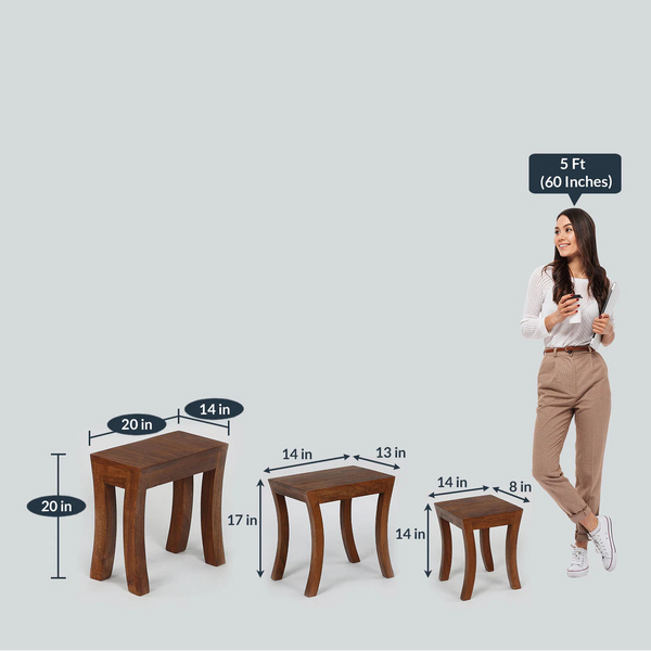 Benbecula Solid Wood Set of 3 Side Table In Natural Finish