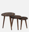 Carinish Sheesham Wood Side Table Set of 3