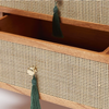Eindhoven Rattan TV Unit
