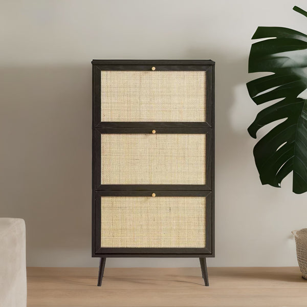 shoe storage cabinet