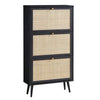 Solid Wood Shoe Storage Cabinet Black Finish 3- Tier