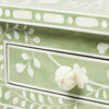 Greeni Acrylic Inlay console table