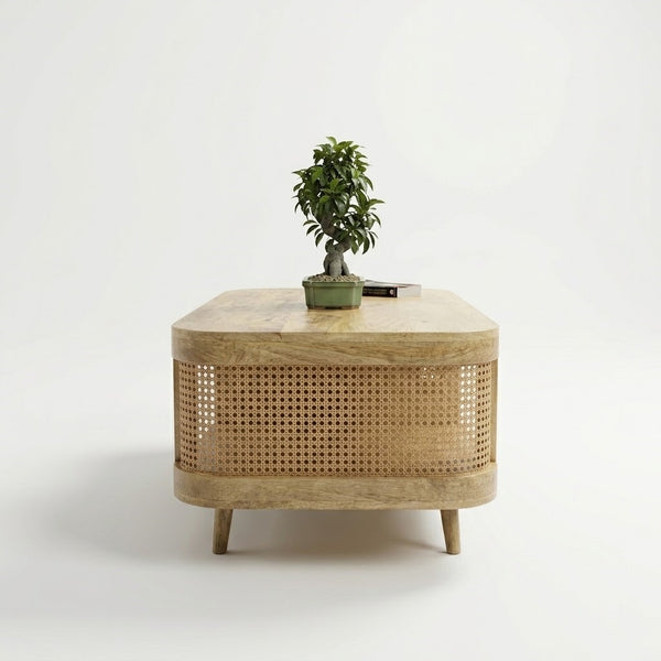 Meloni Curved Rattan Coffee Table - READY TO SHIP
