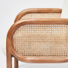 Santander Rattan Solid Wood Arm Chair