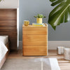 Modern Mango Wood Bed Side Table