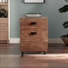Modern Acacia Wood Cabinet