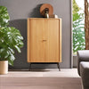 Modern Mango Wood Cabinet Natural