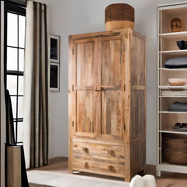 Modern Mango Wood 2 Drawers and 2 Doors with Shelves Wardrobe
