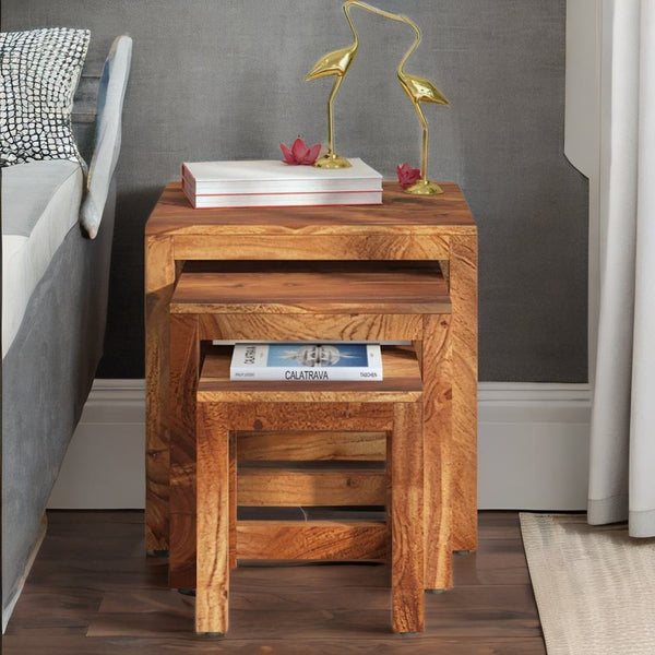 Classic Sheesham Wood Set of 3 Side Table In Rustic Teak