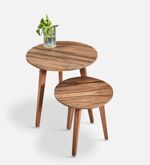 Modern Solid Wood Set of 2 Side Table In Brown