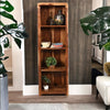 Modern Mehran Elementary Classsy Sheesham Wood Honey Bookcase