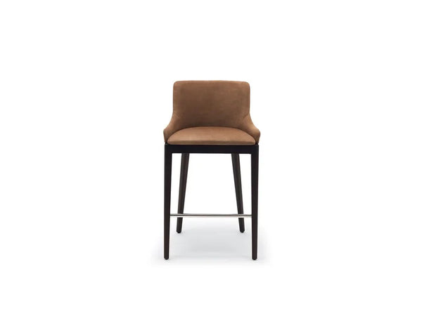 Modern High Upholstered Teakwood stool with back