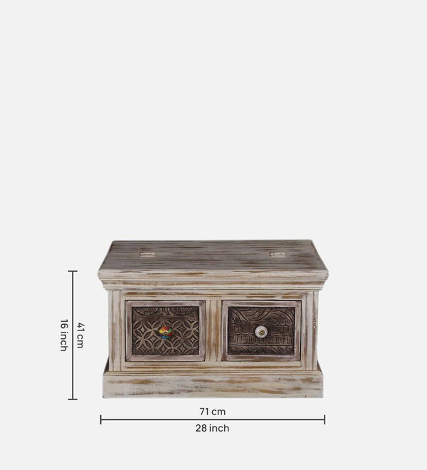 Modern Solid Wood Trunk in Distress Finish