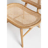 Rattan Sheesham Wood Lounge Chair