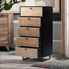 Modern Rattan Mango Solid Wood Iron Base Chest Of 5 Drawers