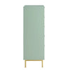 Modern Solid Wood Chest of 5 Drawer - Green Finish