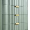 Modern Solid Wood Chest of 5 Drawer - Green Finish