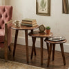 Carinish Sheesham Wood Side Table Set of 3