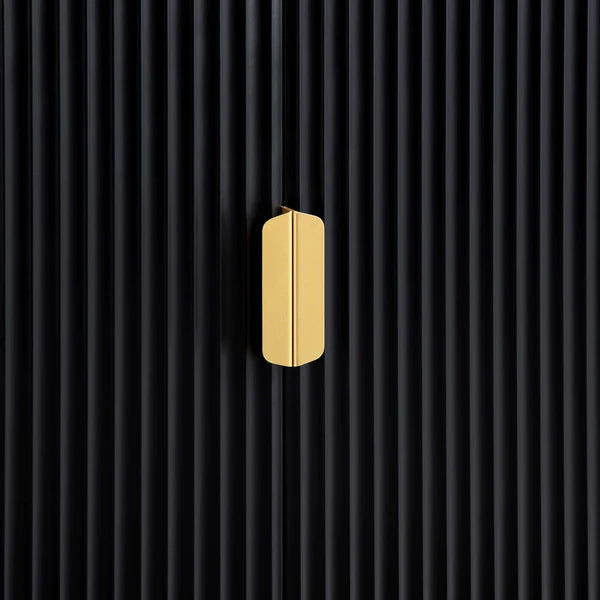 Coorg 2 Door Storage Cabinet