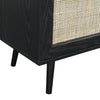 Classic Black Solid Wood 1- Door Rattan Cabinet
