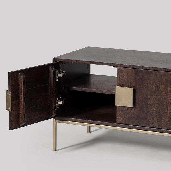 Guadalajara T.V. Unit