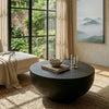 Penguin Hard Wood Coffee Table. black finish modern center table 