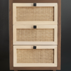 Perth Rattan Chest Of Drawers