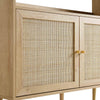 Wooden cabinet with rattan doors on a white background
