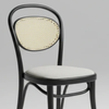 Serpentine Rattan & Metal Dining Chair
