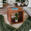 Classic Sheesham Wood Cubical Coffee Table