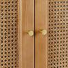 Vizianagaram Rattan Wardrobe