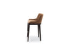 Modern High Upholstered Teakwood stool with back