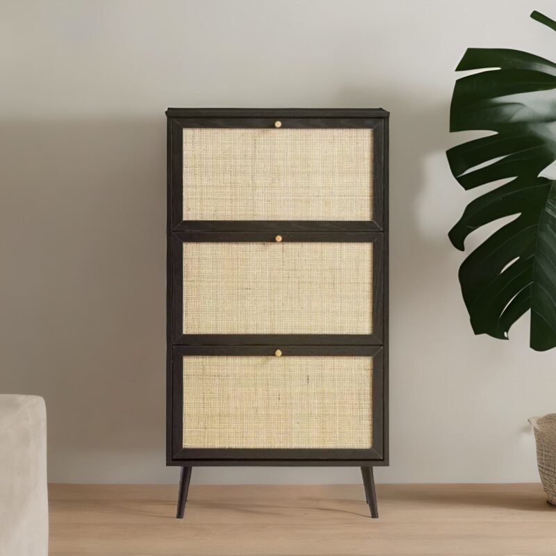 shoe storage cabinet