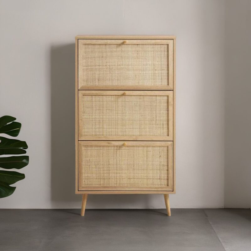 rattan shoe cabinet